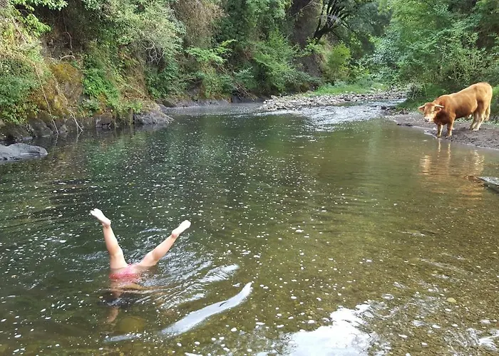 بيت للعطل El De La Poza - Rio, Barbacoa, Wifi, Zona De Trabajo, Vistas.