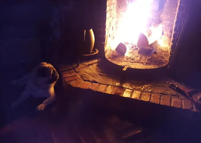 El De La Poza - Rio, Barbacoa, Wifi, Zona De Trabajo, Vistas. *